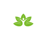 Grünes Logo mit stilisierten Blättern, die eine menschliche Figur in der Mitte formen. Das moderne Natur- und Gesundheitslogo symbolisiert Wachstum, Wohlbefinden, Nachhaltigkeit und ein bewusstes Leben.